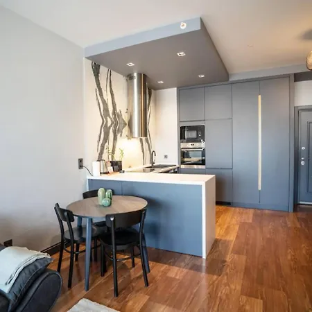 公寓 Family-friendly Near Taksim Square 伊斯坦布尔